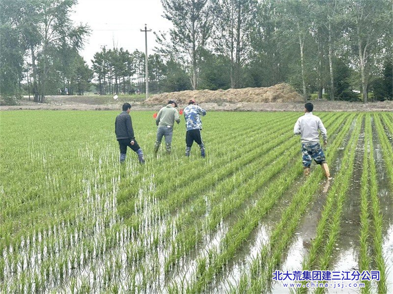 青龍山微信圖片_20240611184705800+600.png