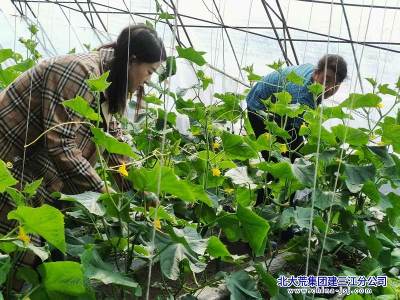 微信圖片_2025-05-22_081709_334_副本.jpg