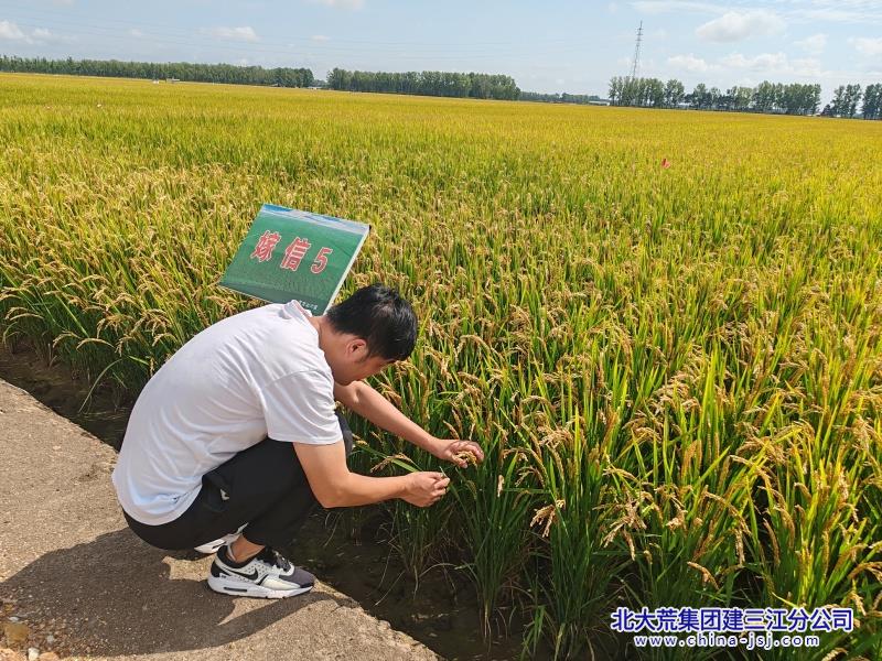 mmexport1757289617959_副本.jpg