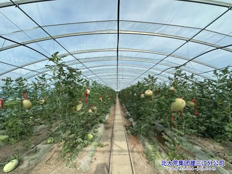 截圖20250806083224.jpg